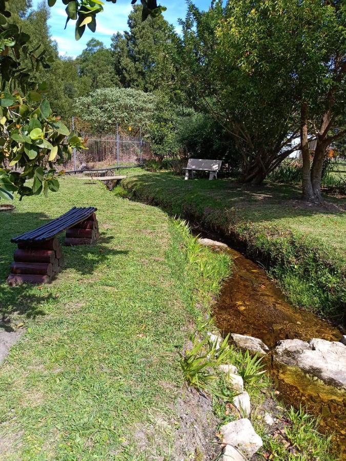Nadine'S Self-Catering Accommodation ستورمزريفير المظهر الخارجي الصورة